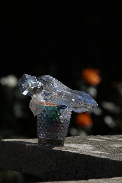 close-up of glass of water with ice cubes