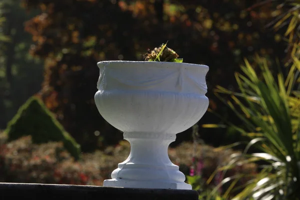 stock image beautiful fountain with flower pots on a table in the garden