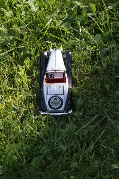 緑の草の上に古いレトロカメラ — ストック写真