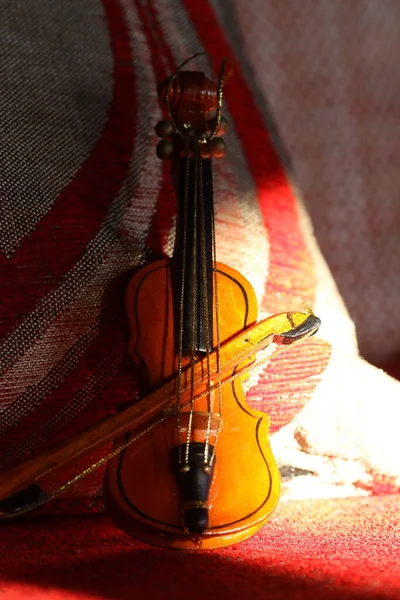 수술대 바이올린 — 스톡 사진