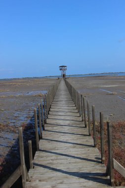 Baltık denizinin güzel manzarası