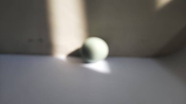 Bulanık ya da odaksız ya da geleneksel Asya bekar ya da güneş ışığıyla izole edilmiş tuzlu ya da tuzlu ördek yumurtası.