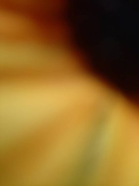 Abstract yellow and black background. Blurred or unfocused or defocused zoomed sunflower.