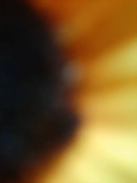 Abstract yellow and black background. Blurred or unfocused or defocused zoomed sunflower.