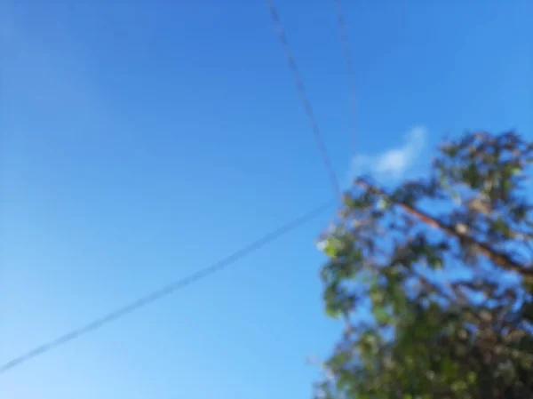 Blue sky on a shiny day with some leaves or tree