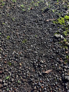 Gravel road texture with some mosses on a sunny day