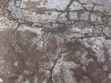 Cracked cement floor texture with moss