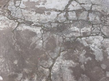 Cracked cement floor texture with moss