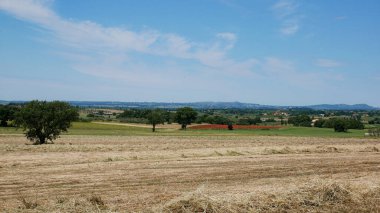 Saman balyalarıyla İtalya kırsalında