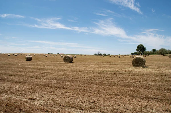 意大利农村 有干草包 — 图库照片