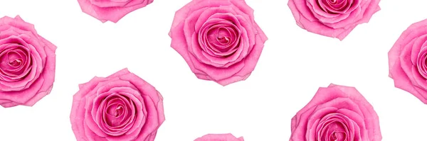 Απρόσκοπτη Μοτίβο Ροζ Τριαντάφυλλα Που Απομονώνονται Λευκό Φόντο Αγάπη Γενέθλια — Φωτογραφία Αρχείου