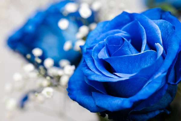 Μπλε Τριαντάφυλλα Μπουκέτο Γυψόφυλλες Ουδέτερο Φόντο Απαλή Εστίαση Κοντινό Πλάνο — Φωτογραφία Αρχείου