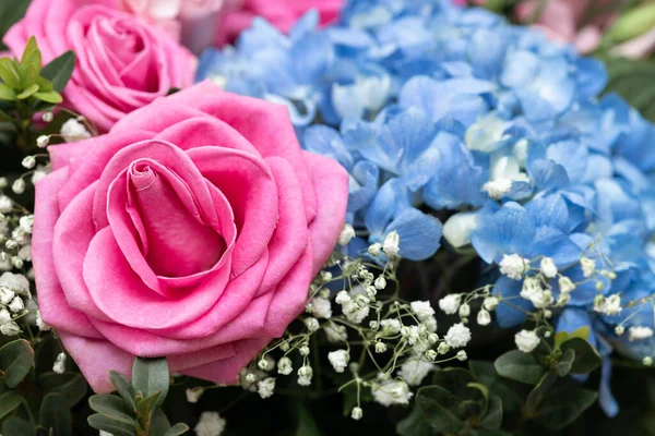 Bukiet Świeżych Róż Niebieski Hortensja Cyganka Kwiatowe Tło Zaproszenie Lub — Zdjęcie stockowe