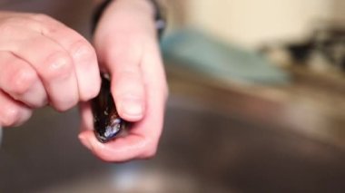 Kadınların yavaş çekimde lavabodaki çiğ midyeleri temizleyip suyun altında yıkaması. Deniz ürünleri hazırlama süreci