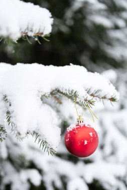 Dışarıdaki karla kaplı Noel ağacına asılı kırmızı Noel mücevheri. Seçici odak, dikey resim