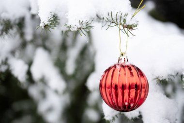 Dışarıdaki karla kaplı Noel ağacından sarkan çizgili kırmızı Noel mücevheri. Seçici odak, yakın plan