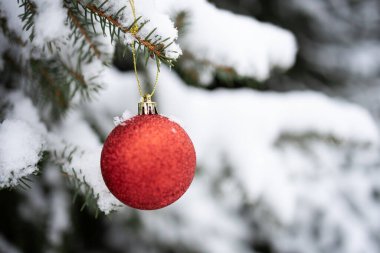 Dışarıdaki karla kaplı Noel ağacı dalından sarkan kırmızı parıltılı Noel mücevheri. Seçici odak, yakın plan