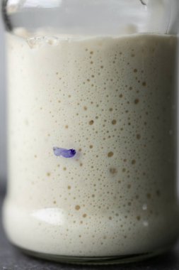 Bubbly sourdough başlangıç cam kavanozda iki kat büyümüş. Yakın plan.