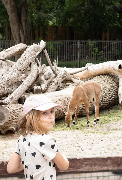 Geyik hayvanat bahçesindeki odunların yanında otlarken kalp desenli tişörtlü ve şapkalı çocuk çitin kenarına bakıyor.