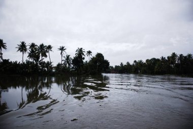 Denizin üzerinde güzel bir gün batımı