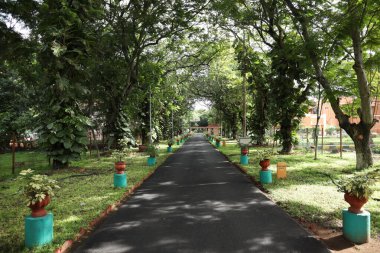 Parkın güzel manzarası