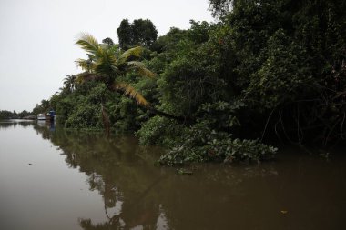 Parktaki nehir manzarası