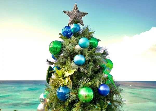 카리브해의 크리스마스 바다를 — 스톡 사진