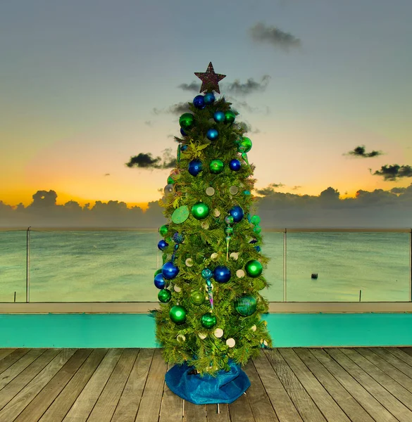 Rooftop Christmas Tree Caribbean — Stock Photo, Image