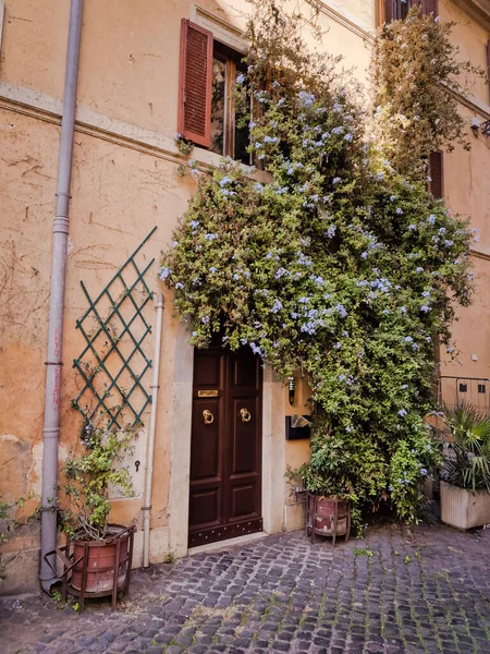 Eine Italienische Straße Mit Hübschen Türen Viel Grün Und Pflastersteinen — Stockfoto
