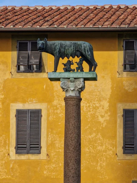 Capitoline Wolf Rzeźba Brązu Zwierzę Jest Ustawione Profilu Głową Skierowaną Zdjęcie Stockowe