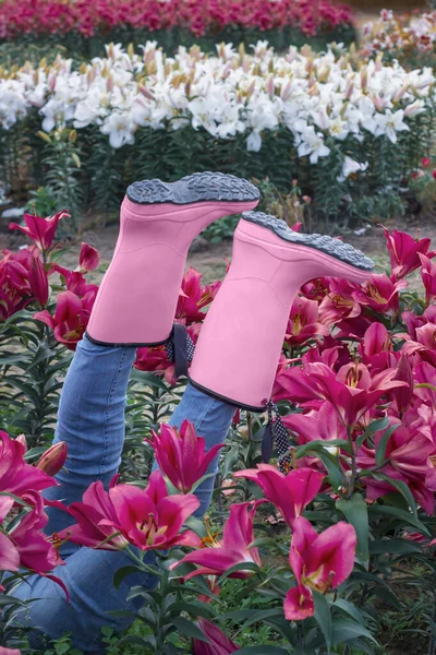 A humorous composition on a flower bed with lilies. Garden design. Scarecrow - Rubber boots and jeans on a flower bed. Pink lilies. vertical. Copy space