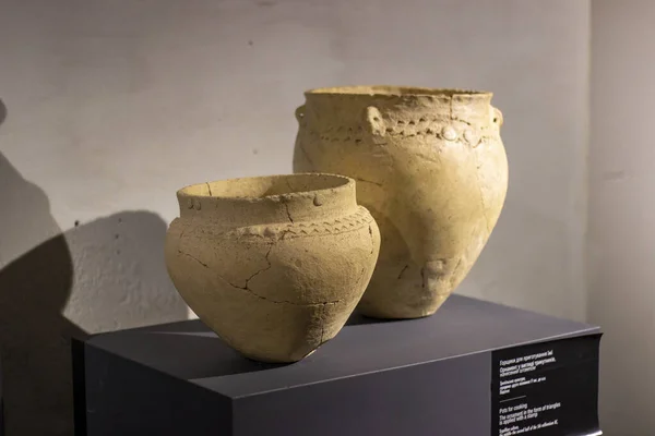 Ancient ceramic vases - museum exhibits in the Museum of Trypillia culture in the Lviv region of Ukraine. 04.09.2022