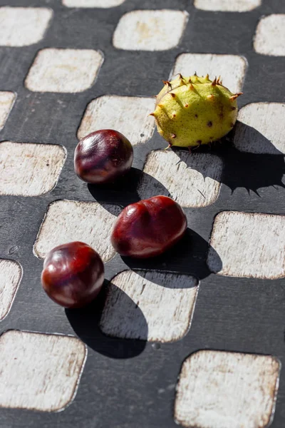 Horse chestnuts on a chessboard in a recreation park. Autumn mood.