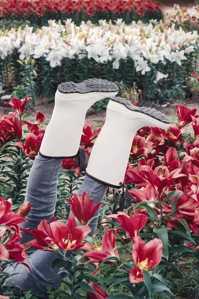 Creative funny decoration on a flower bed of red lilies. Scarecrow in the flowerbed. mannequin in rubber white boots on a flower bed. landscape design. Place for text.