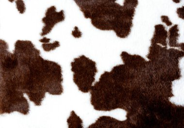 Faux fur color brown spotted. Drawing of a cow or horse. 