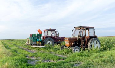 Two old tractors are in a field with many empty boxes for harvesting. Agriculture in Italy.  clipart