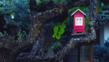 Kırmızı ahşap kuş evi bir ağacın dallarında bulunur.. 