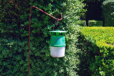 Boxwood güvesinden feromon tuzağı. Feromon kapağın altındaki küçük plastik boruya yerleştirilir ve tam altında alıcı konteynıra giden bir huni bulunur.. 