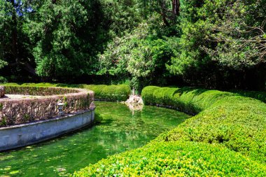 Isola dei Conigli - Tavşan Adası. Melek yüzün tatlı yüzünden, çeşmeden su fışkırıyor. Valsanzibio Galzignano Terme, Padua - İtalya.