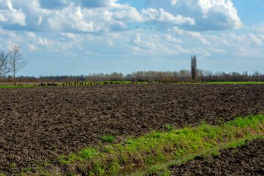 Tarım sahnesi, yeni sürülmüş kahverengi toprak, yemyeşil çimen, ve arka planda ağaçlar, hepsi açık mavi bir gökyüzü altında yumuşak beyaz bulutlarla dolu