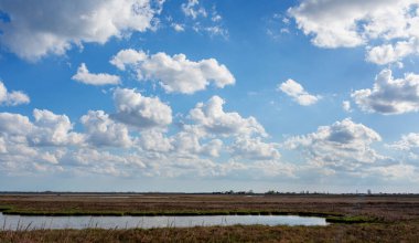 Chioggia, Veneto yakınlarındaki manzaralı gölde, canlı yeşillik ve huzurlu bir atmosferle çevrili, gökyüzünü yansıtan sakin sular bulunur. Her tür kuş için favori yaşam alanı.