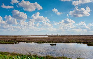 Chioggia yakınlarındaki geniş lagün, Venedik açık mavi gökyüzü altında tüylü beyaz bulutlar, durgun su yansımaları ve kıyı boyunca yemyeşil bitki örtüsü sergiliyor.