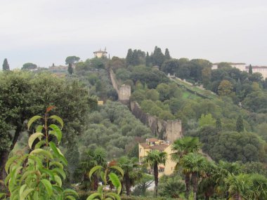 Floransa, İtalya. Yukarıdan görünüm.