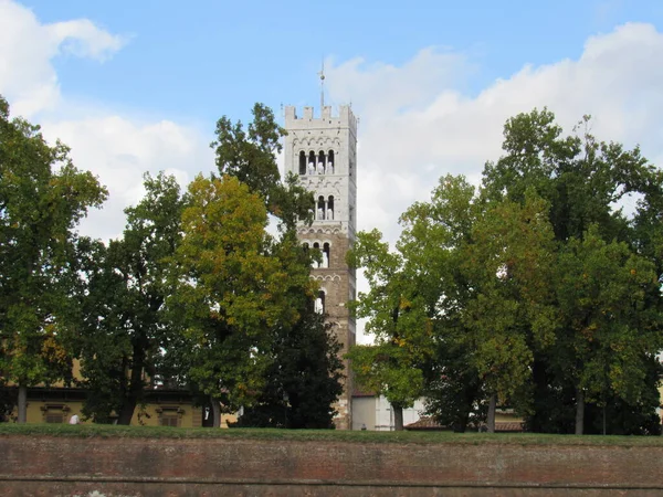Башня Собора Посвященная Святому Мартину Турскому Лукке Стеной Италия — стоковое фото
