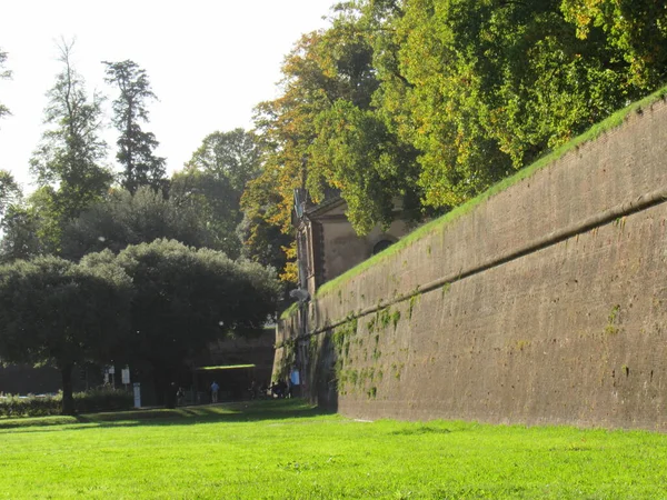 Ściana Lucca Włochy — Zdjęcie stockowe