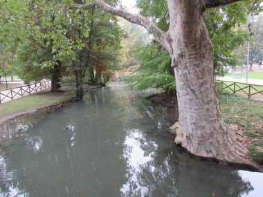 Sempione Park, Sforzesco Kalesi 'nin arkasındadır ve şehrin en büyük ikinci parkıdır. Turistlerin ve yerlilerin en sevdiği yerlerden biri dinlenmek, piknik yapmak ya da yürüyüş yapmak. Milan, İtalya.
