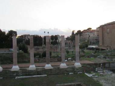 Roma Forumu, Antik Roma 'nın tüm ticaret merkezlerinin toplandığı ve vatandaşların iş, politika, hukuk, ekonomi ve din hakkında konuşmak için toplandığı yerdi. Roma, İtalya.