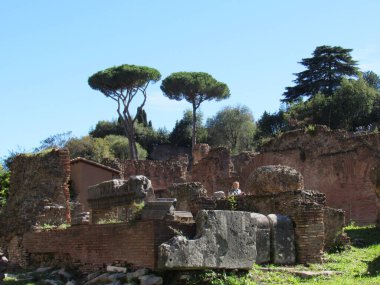 Roma Forumu, Antik Roma 'nın tüm ticaret merkezlerinin toplandığı ve vatandaşların iş, politika, hukuk, ekonomi ve din hakkında konuşmak için toplandığı yerdi. Roma, İtalya.