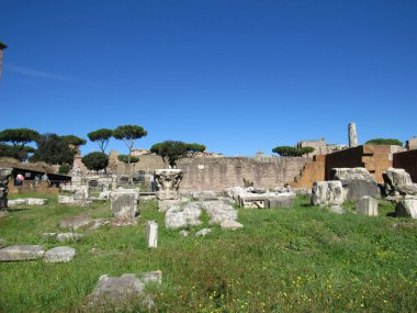 Roma Forumu, Antik Roma 'nın tüm ticaret merkezlerinin toplandığı ve vatandaşların iş, politika, hukuk, ekonomi ve din hakkında konuşmak için toplandığı yerdi. Roma, İtalya.