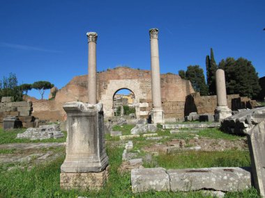 Roma Forumu, Antik Roma 'nın tüm ticaret merkezlerinin toplandığı ve vatandaşların iş, politika, hukuk, ekonomi ve din hakkında konuşmak için toplandığı yerdi. Roma, İtalya.